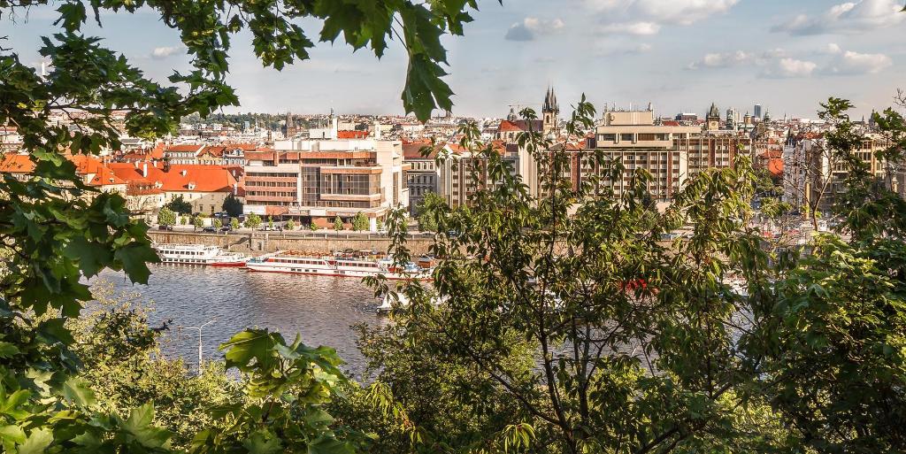 Prague’s Quiet Elegance: A Collection of Refined Stays for Thoughtful Journeys